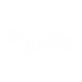 Plumita